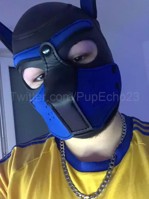 Woof~ New to PupPlay, watcha think?