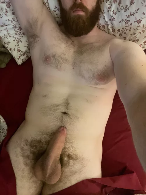 29, 6’5”, bi, and can’t wait to please someone with my thick cock, thick beard, or fat ass. Dm me if you want any.