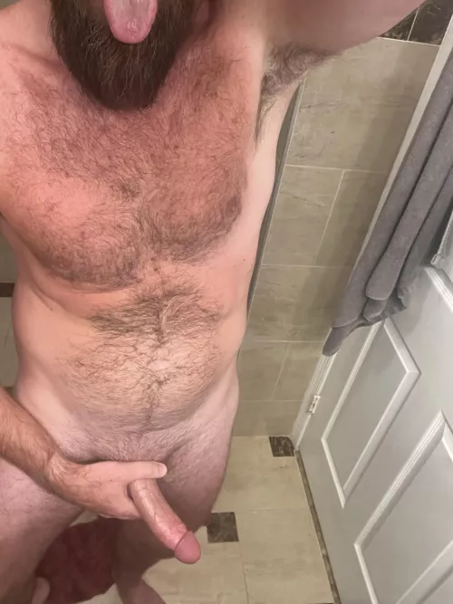 [38] wild at the in laws