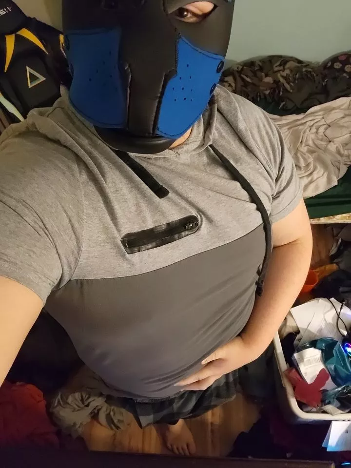 Anyone need a pup? Kik redlassy666 snap theolard23