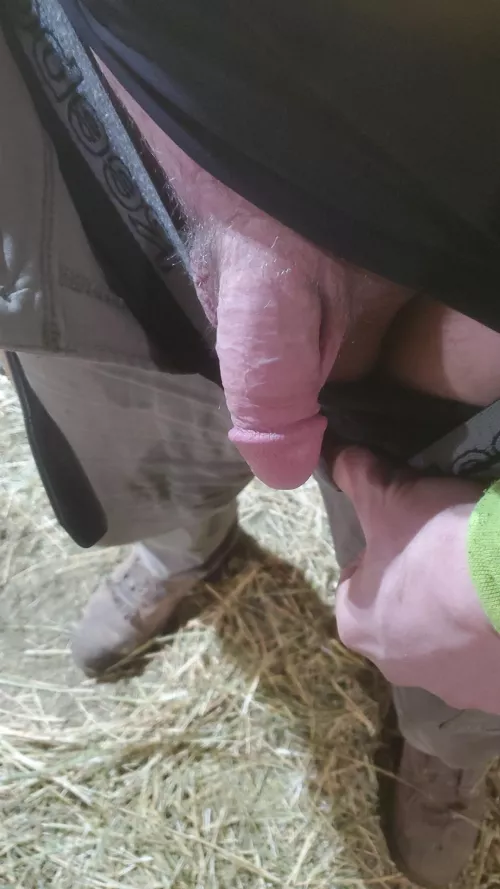 Can you tell its cold out?