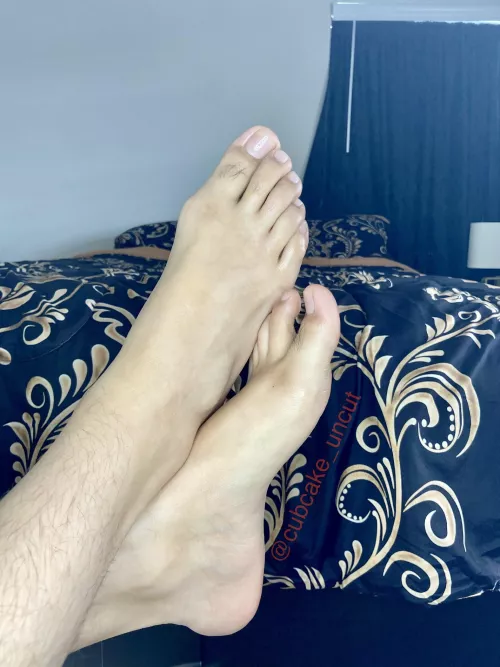 Come adore them like they deserve.