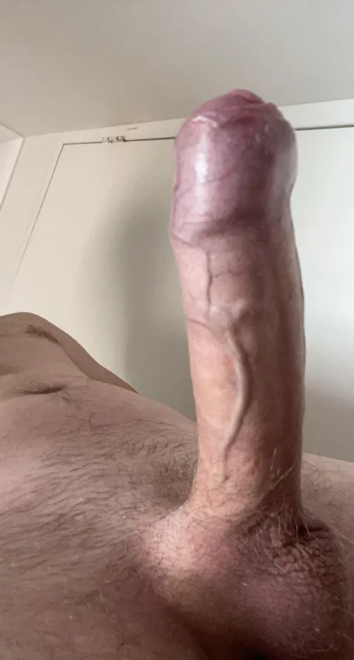 Do you like my thick veiny uncut Aussie cock?