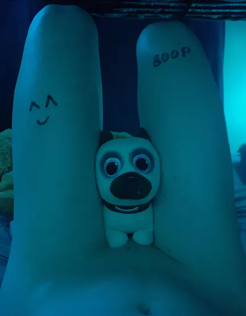 Doggo needs some belly rub!!