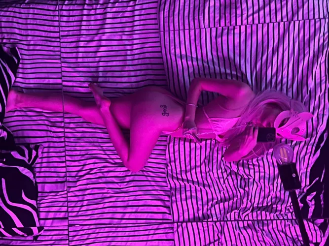 F18 A feline ready to pounce