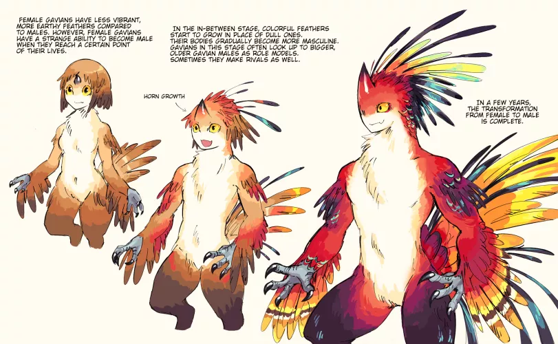 Gavian Gender Change (FtM/monster girl to monster boy) by Mopan