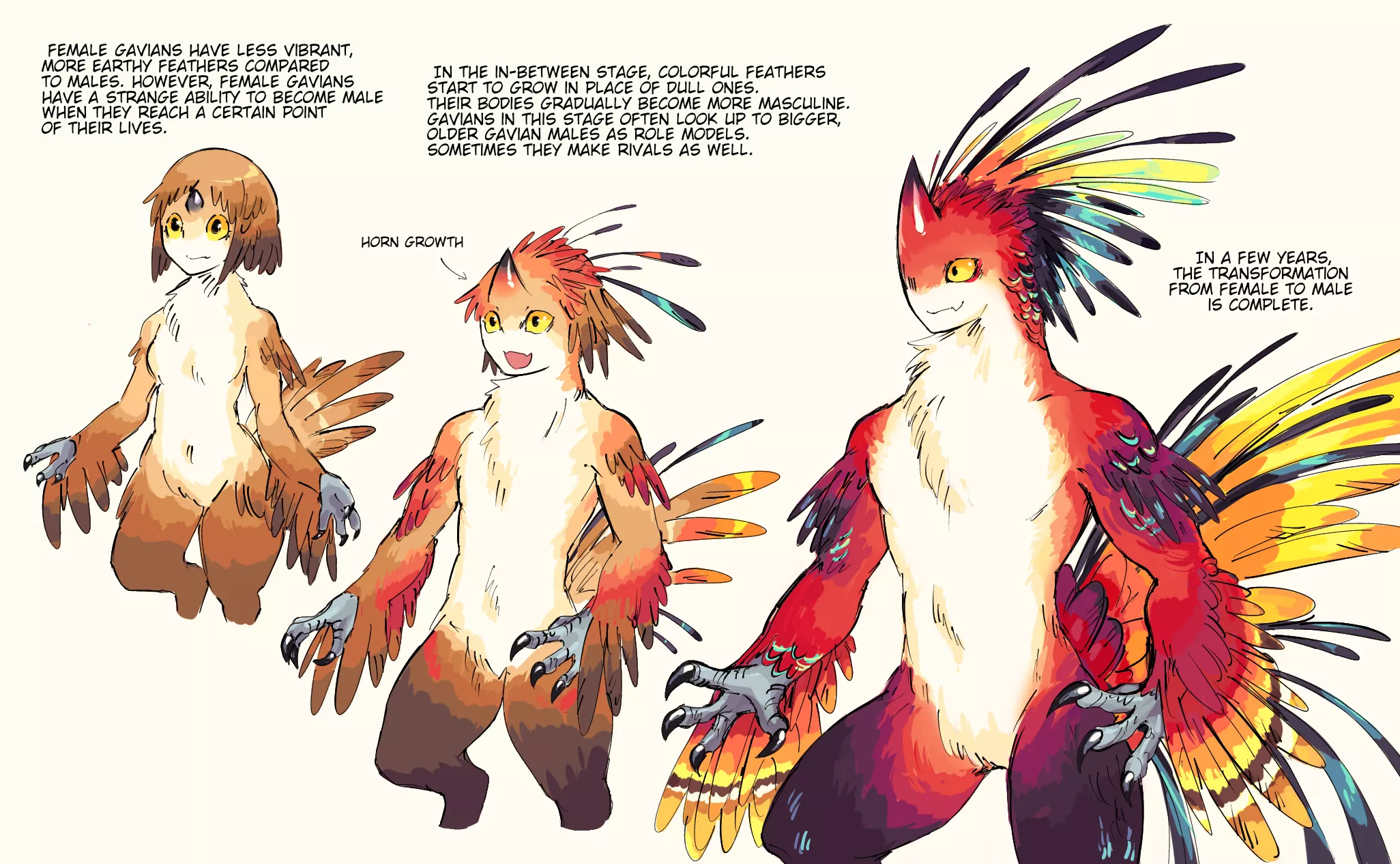 Gavian Gender Change (FtM/monster girl to monster boy) by Mopan