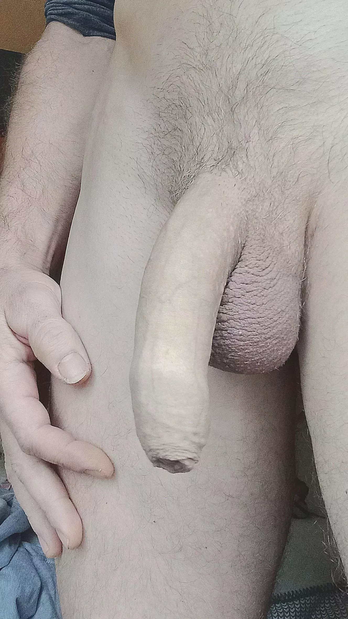 How do you feel about my Softie?