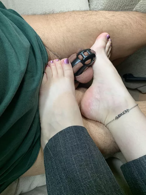 I have an extra cage for 1 Lucky Cuck.