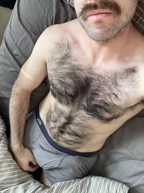 I love my thick chest hair, but it makes me run too hot to cope in the hot Melbourne weather.