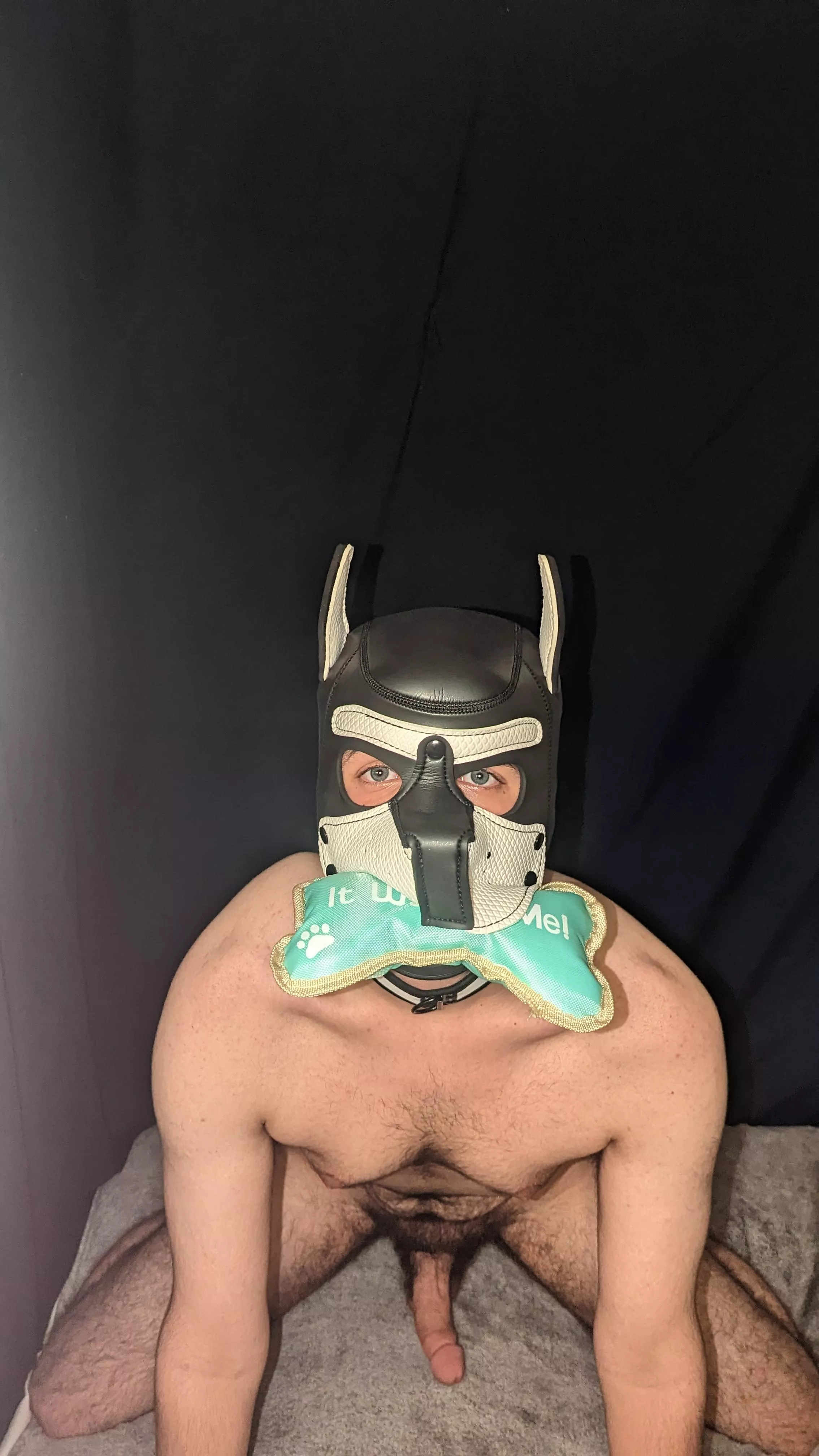 Let's play fetch 😁