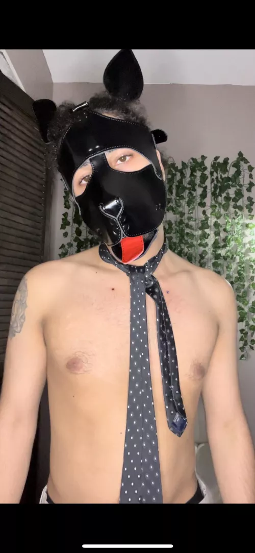 Long day at work 🦴