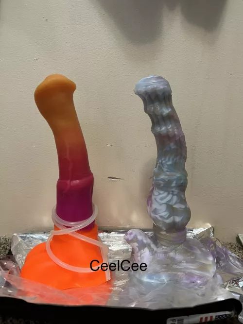 My new medium/medium Seraphina compared to a large flared Chance! Can’t wait to get out the machine and see how the Dragon Mount holds up.