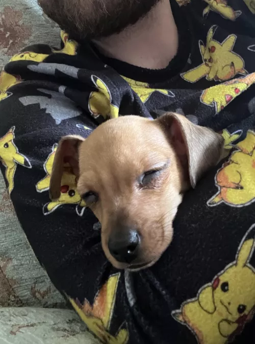 Replacing all men in my life with him