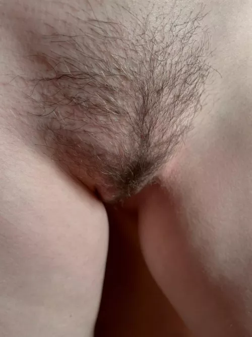 The only thing that would make my bush look better is your cum covering it!