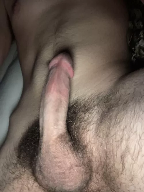 What does everyone think of the bedtime freshly washed bush?