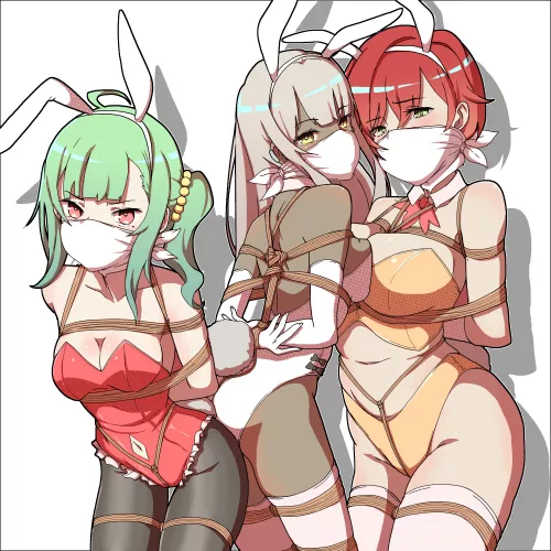you know what's better than two bunny girls tied up?