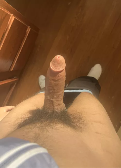 18M whatcha think? 😼