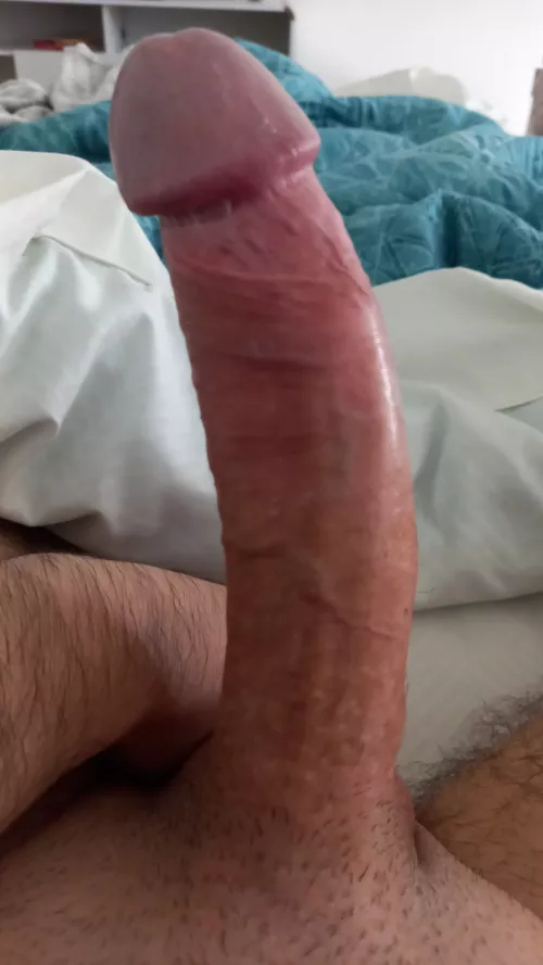 (33) having a little morning fun