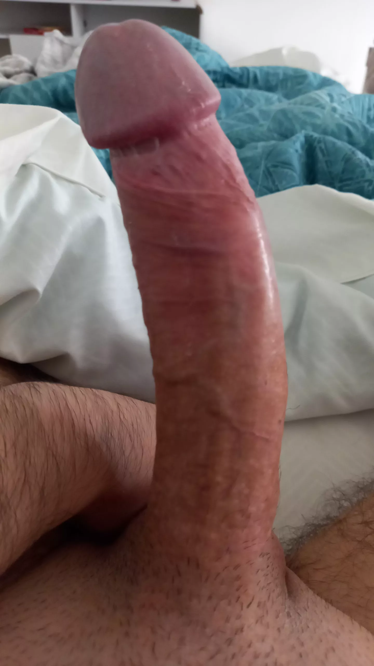 (33) having a little morning fun