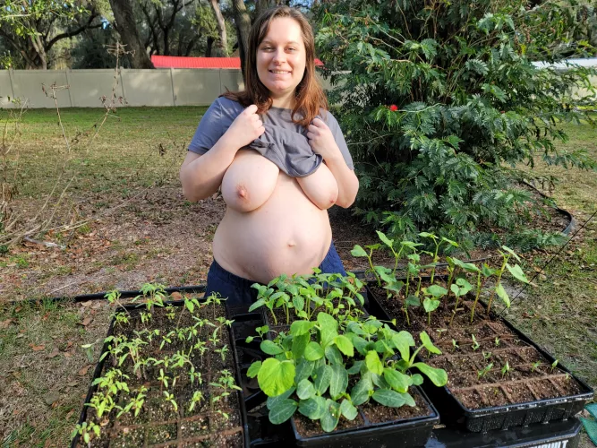 A lot of fertilizing on this homestead