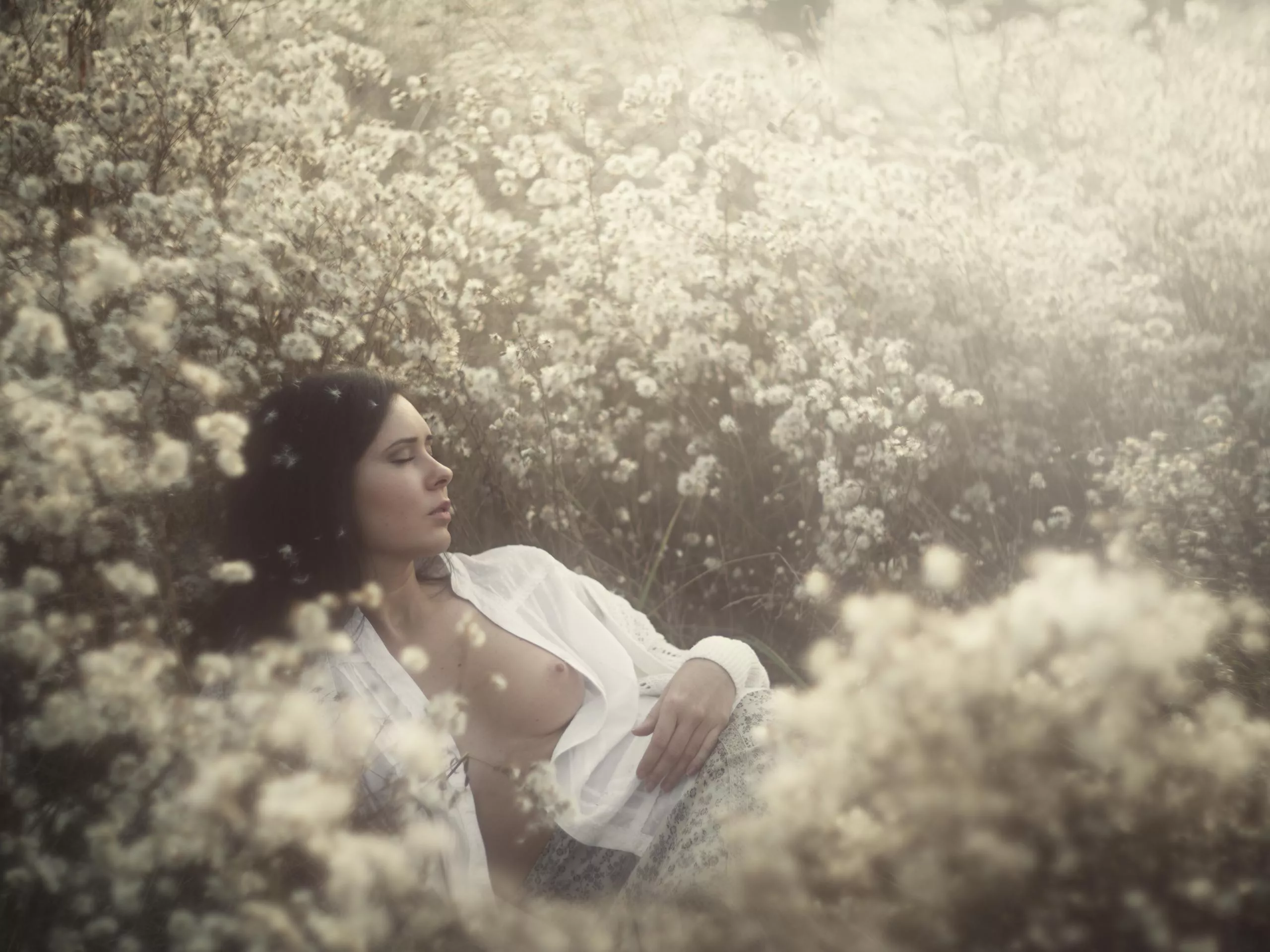 Alice in snow flowers.