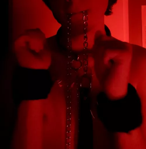 All tied up and ready to serve