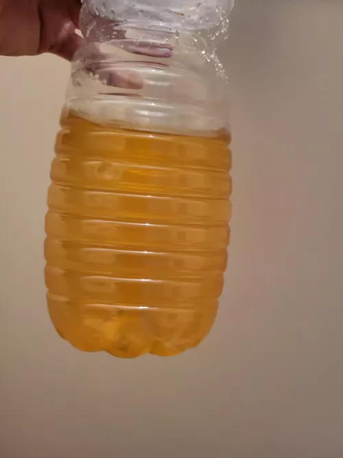 Any f*g wanna drink my weeks old piss ?