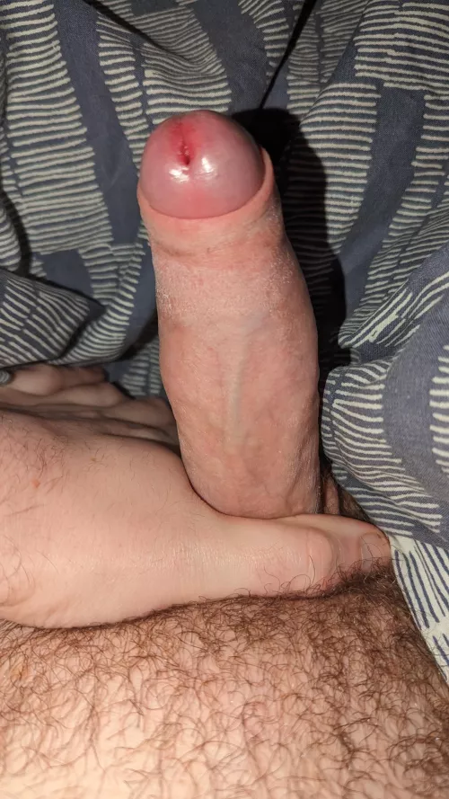 Anyone in the older generation interested in this? DM open