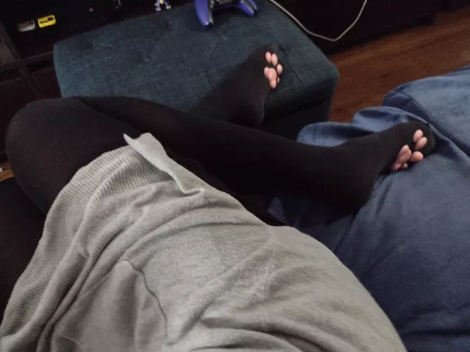 Can I be on the couch? Or do I belong on the floor?