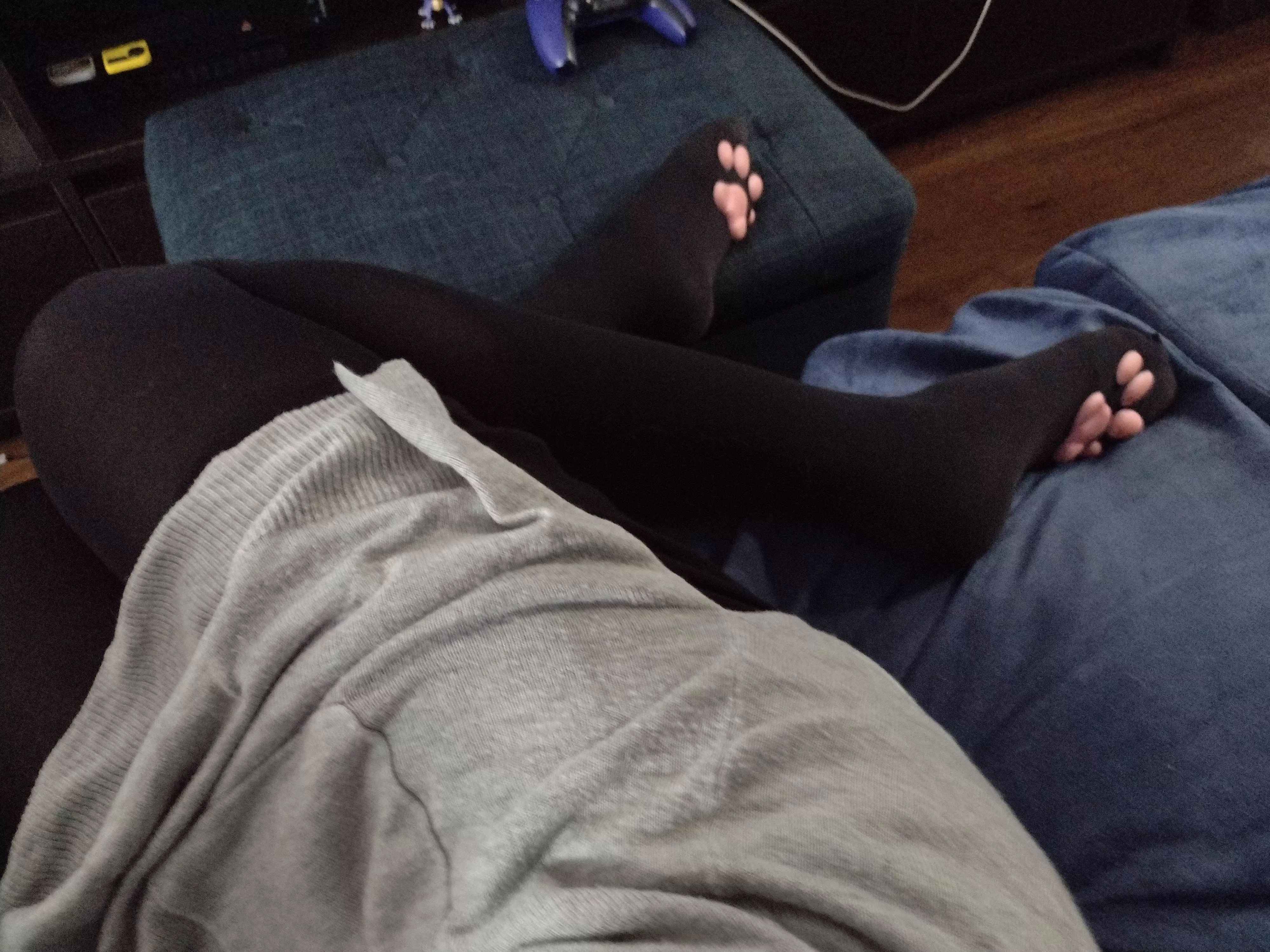 Can I be on the couch? Or do I belong on the floor?