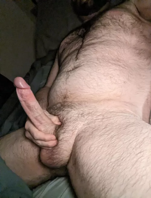 Cumming out of hibernation