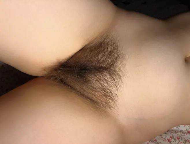 Do you want to see what lies behind this forest?