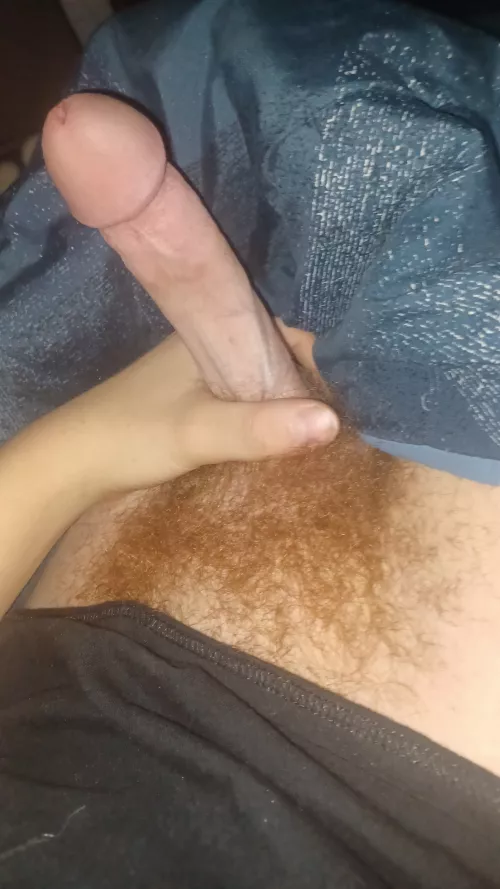 Does anyone like gingers?