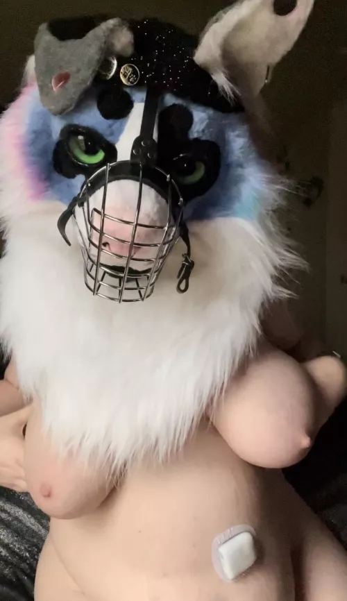 I could use some help with these~ [F]