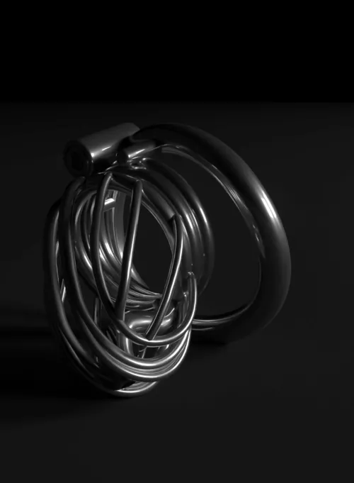 I designed my new custom cage today, made a 3D model and rendered it