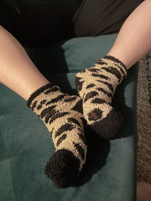 I love my fuzzy little ankle socks :)