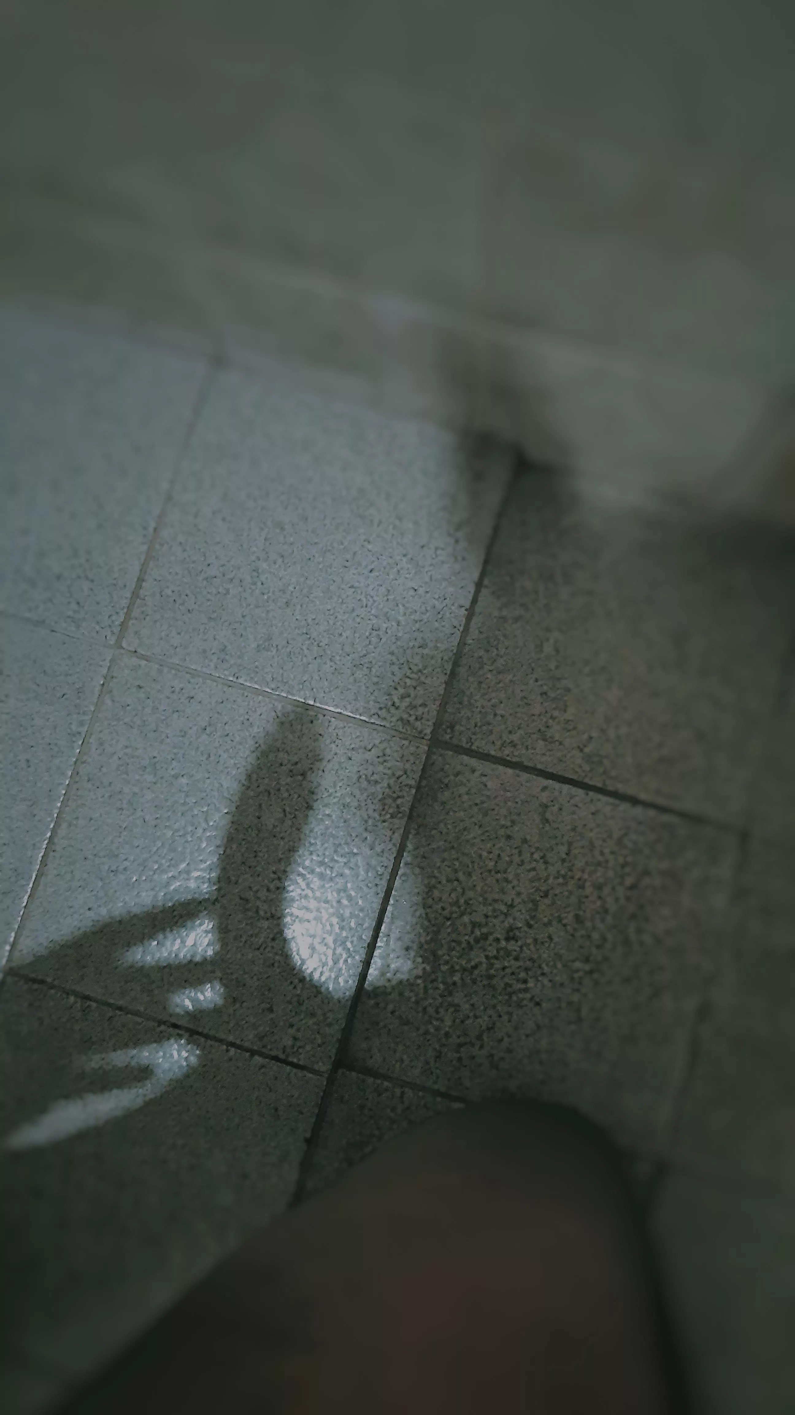 I think my bunny ears were casting a cool shadow here... and something else. 🐰😳