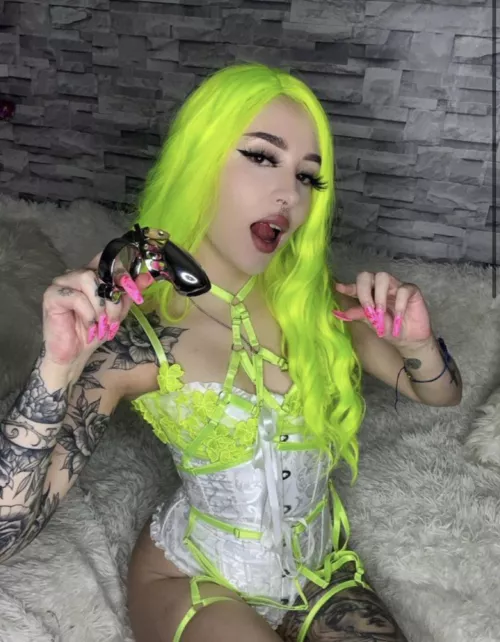 is your shrimp ready to be locked?