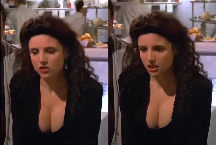 Julia Louis-Dreyfus Massive Cleavage Seinfeld (1990s)