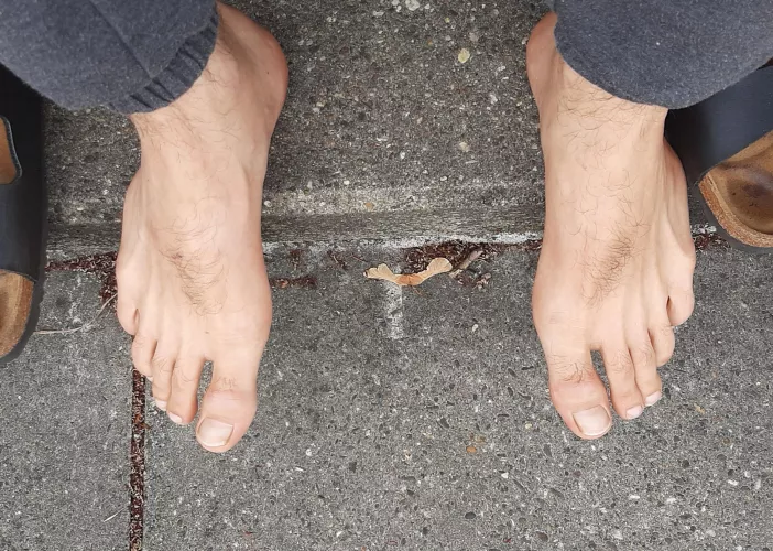 lick them in public?