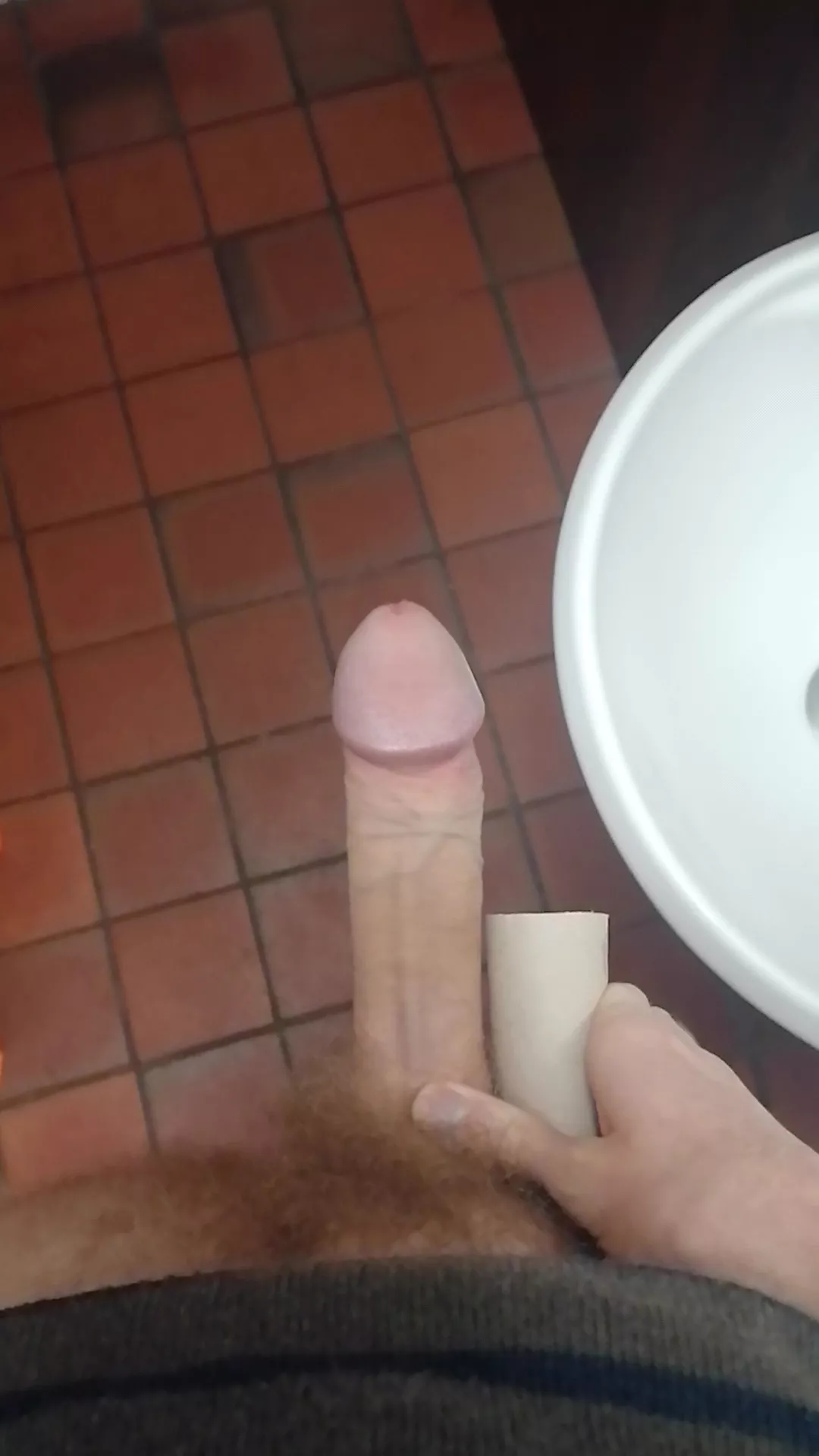 My cock vs tp roll