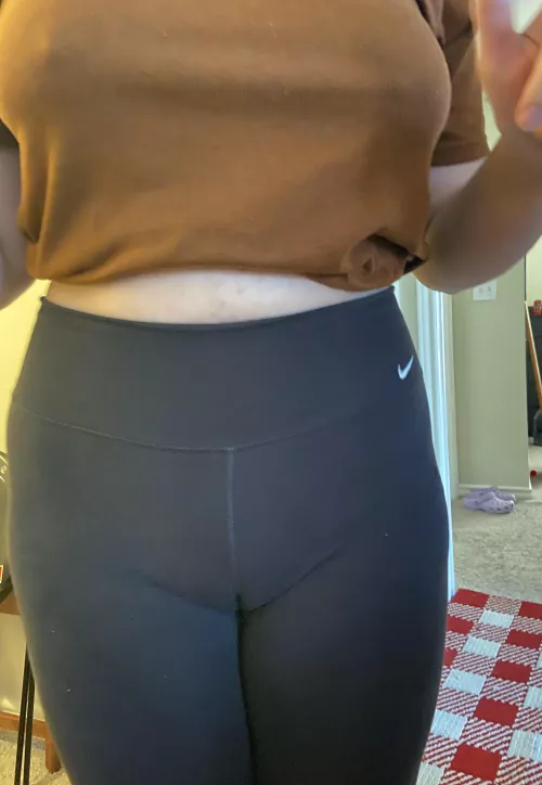 Pokies and cameltoes, I bring the excitement!