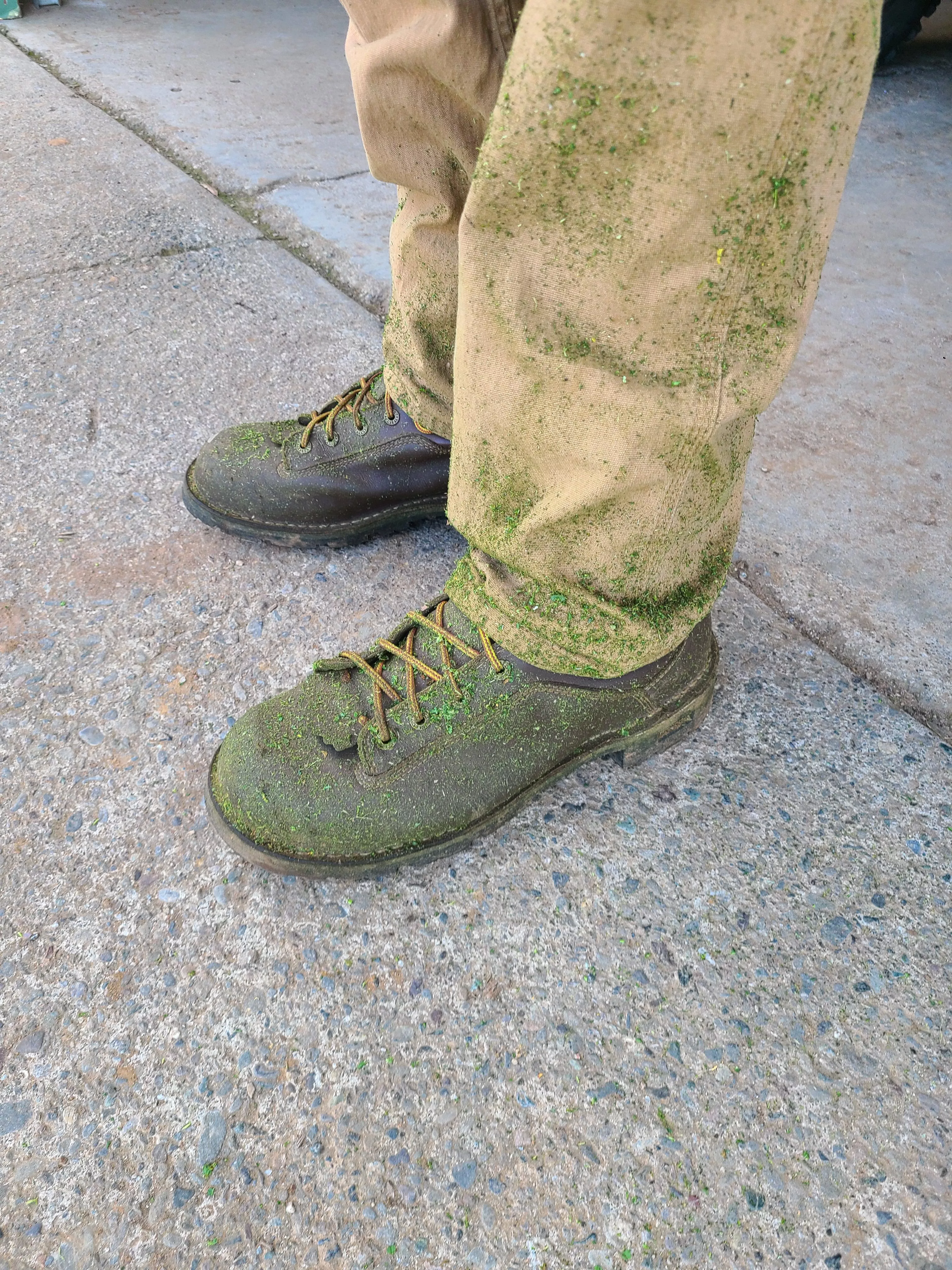 Really enjoying these danner quarry.