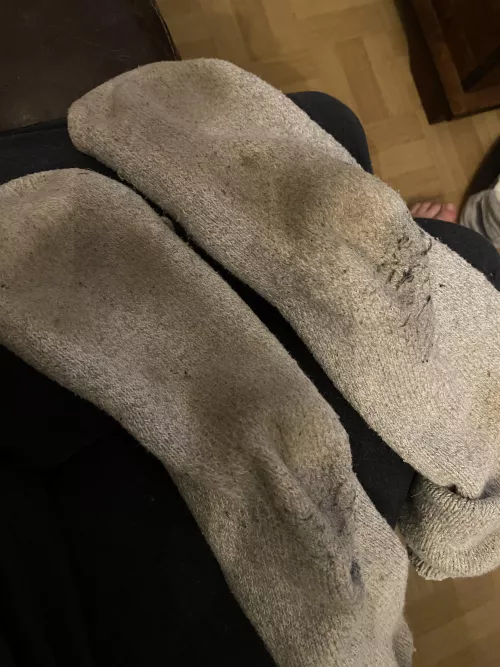 [selling] who likes these hard work riding the horses with these beauties