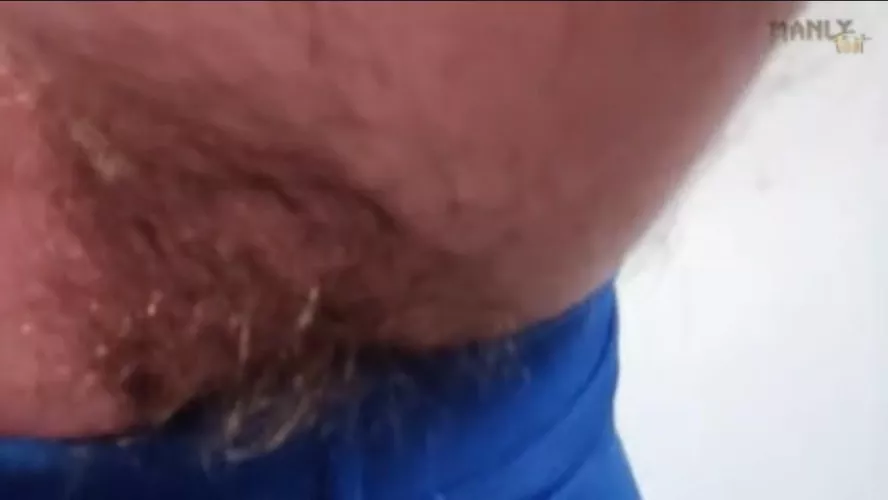 Should I shave them or keep them untrained