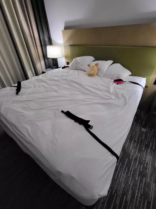 The Pre Session pic (Squishmallow for reference)