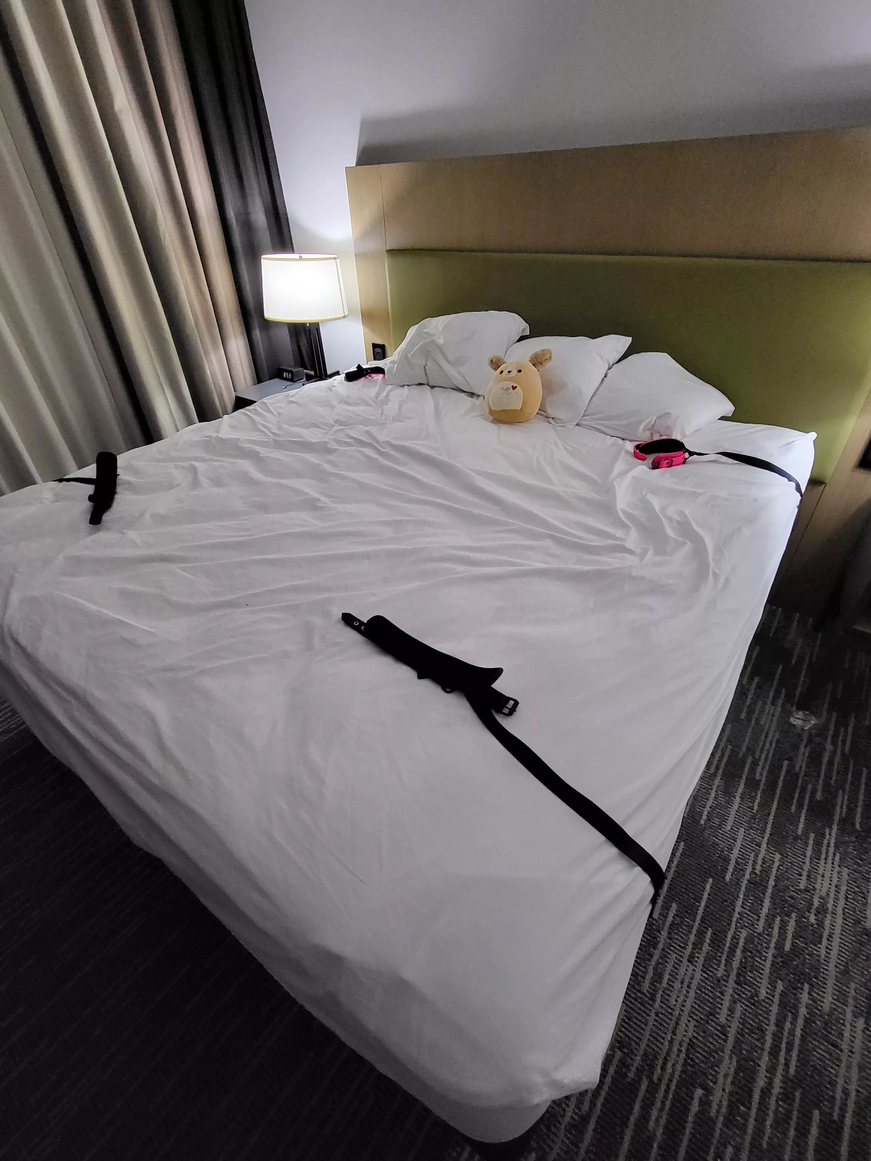 The Pre Session pic (Squishmallow for reference)