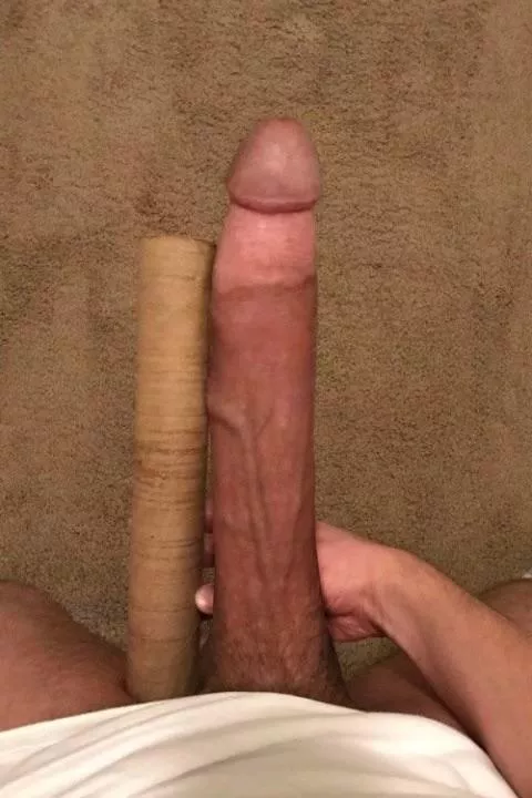 The toilet paper roll comparisons are cute, but what about a paper towel roll?