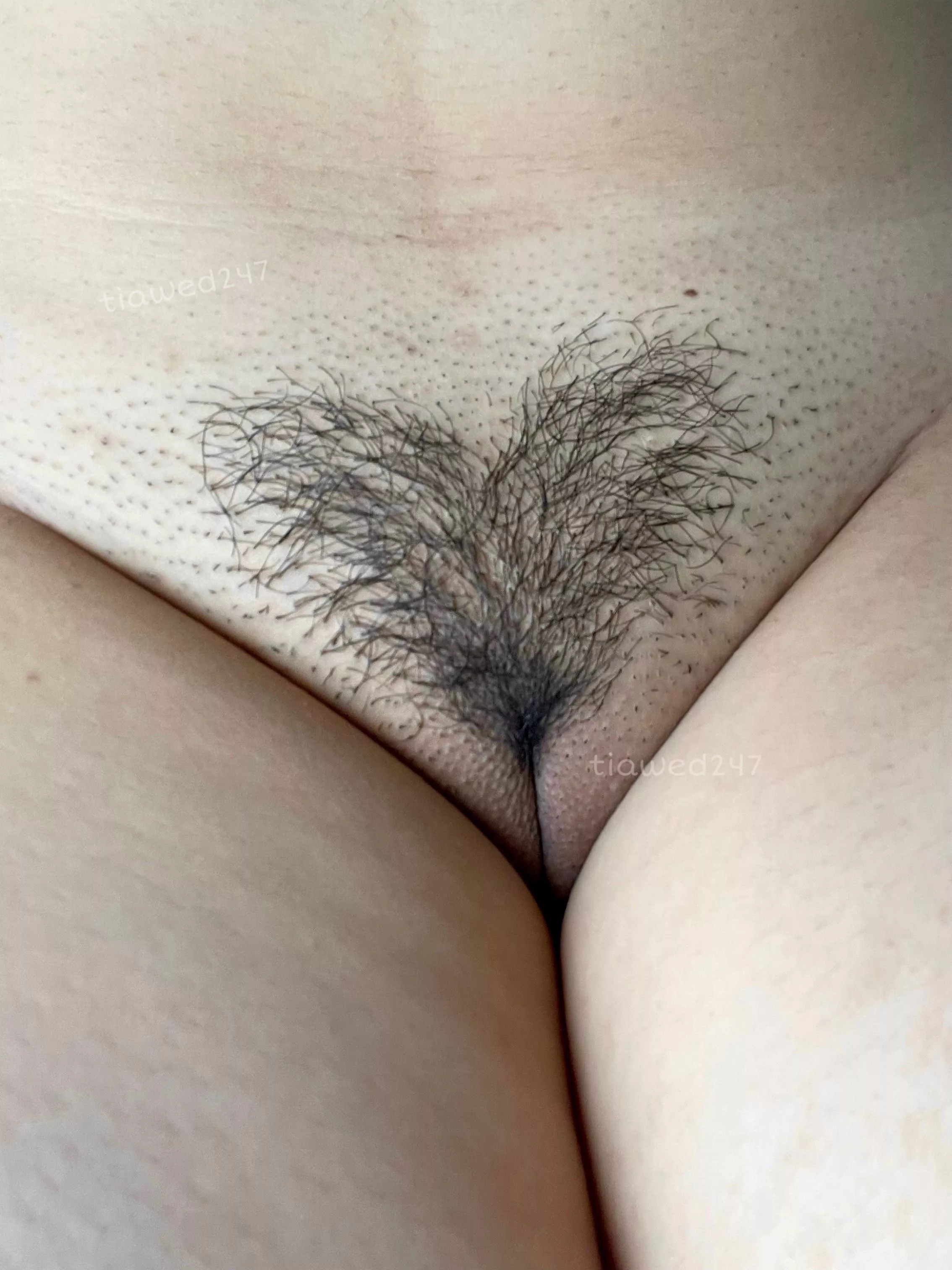 This 5’0” asian girl wears her heart on her… crotch 🖤